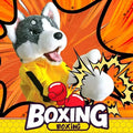 Kung Fu Husky Dog Boxer Funny Hand Puppet Party Favor